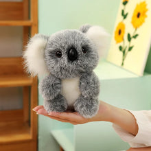 Load image into Gallery viewer, Australia Koala Plush Toy