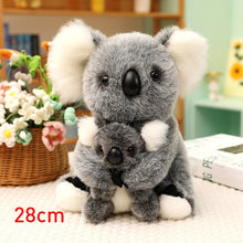 Load image into Gallery viewer, Australia Koala Plush Toy