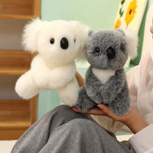 Load image into Gallery viewer, Australia Koala Plush Toy