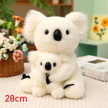 Load image into Gallery viewer, Australia Koala Plush Toy