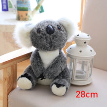 Load image into Gallery viewer, Australia Koala Plush Toy
